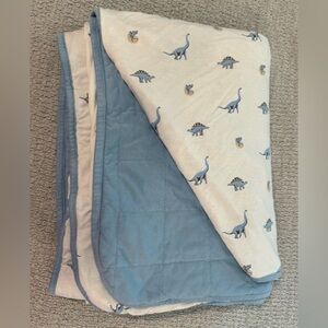 Kyte baby youth sized dinosaur blanket